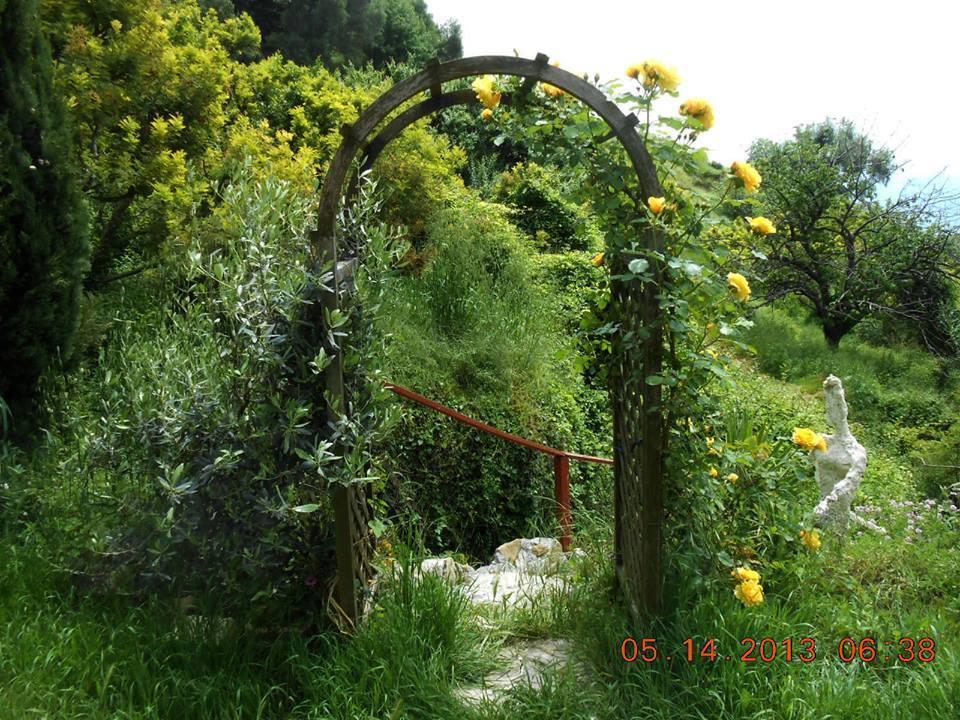 Villa D'Arte Mortola Superiore Exterior photo